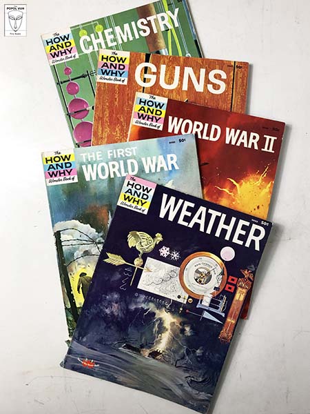 Collection Of The How And Why Wonder Books